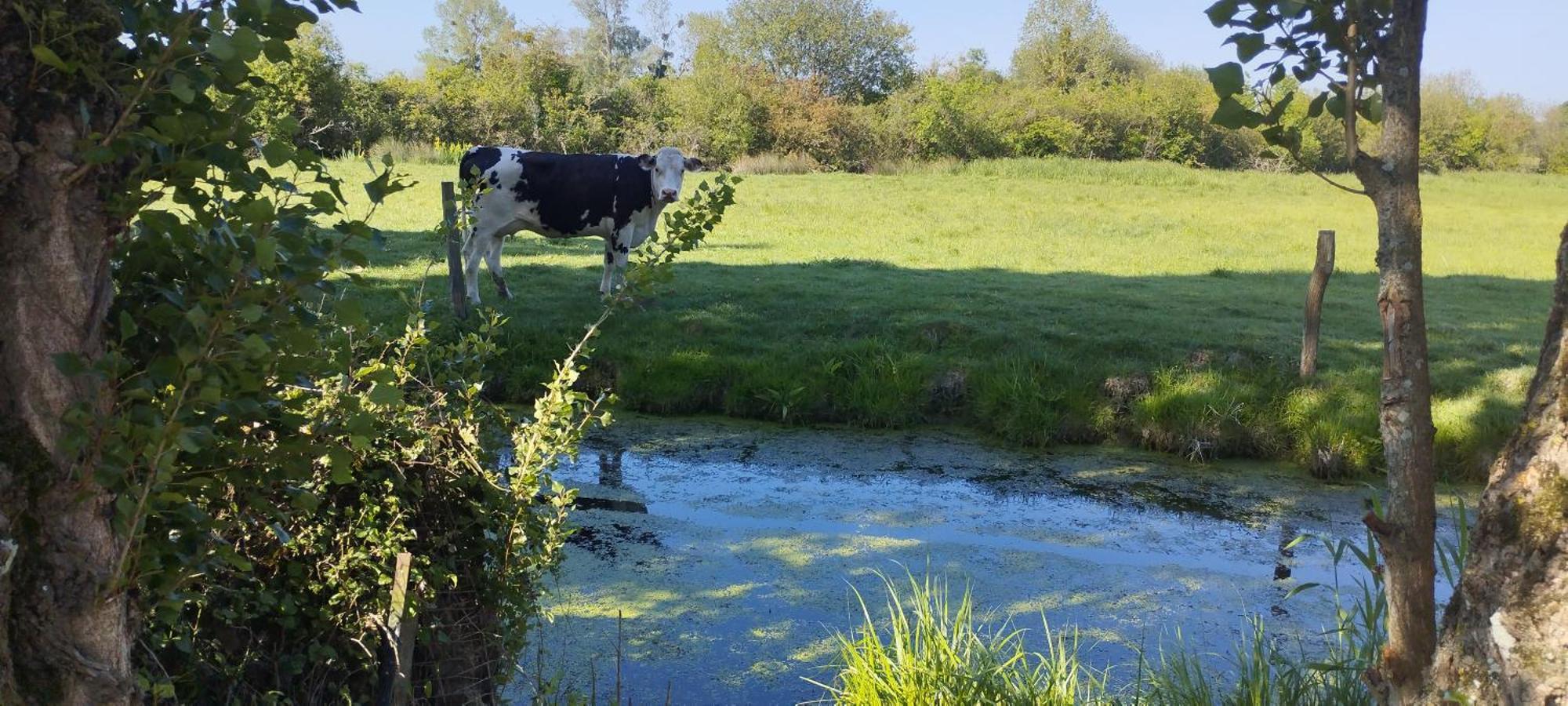 Charmante Maison De Campagne, Avec Jardin, Vue Riviere, 15 Min Cabourg Basseneville Dış mekan fotoğraf